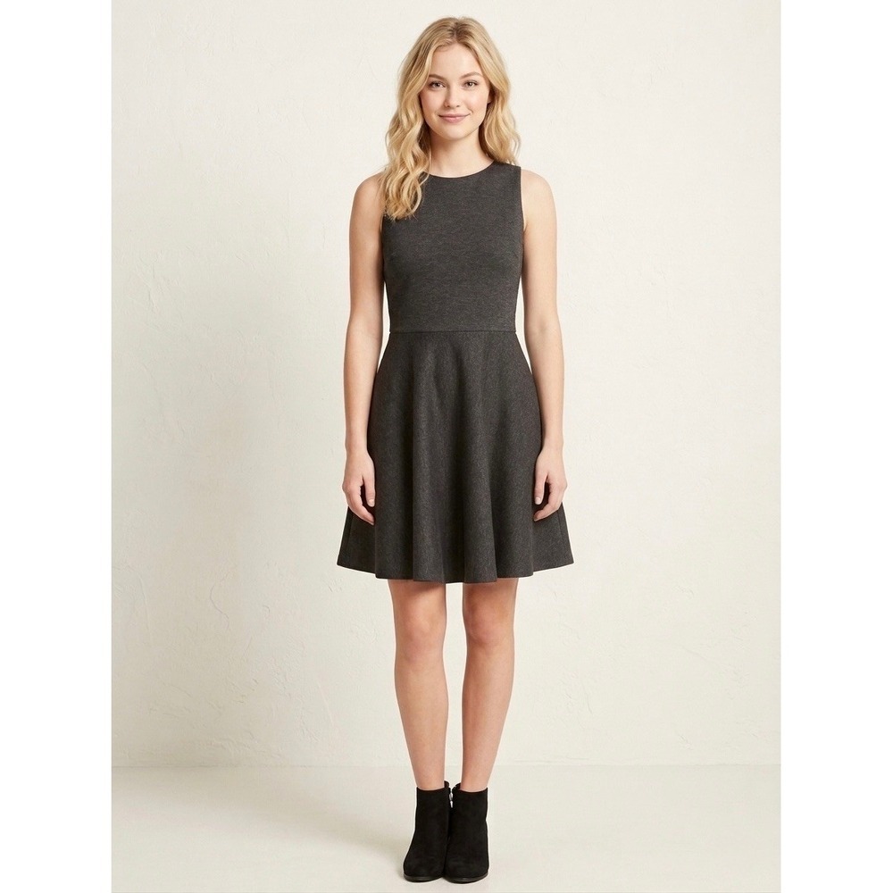 Alice + Olivia Employed Charcoal Gray Sleeveless Fit and Flare Dress 8